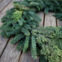 fresh mixed douglas fir and cedar green christmas wreath