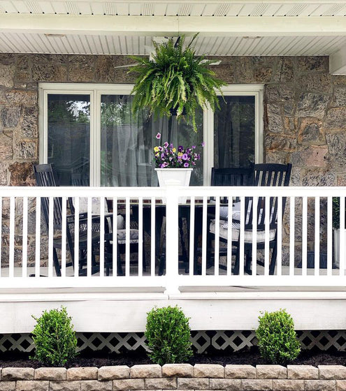 Green velvet boxwood front yard foundaton shrub