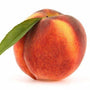 Harvester Peaches red skin