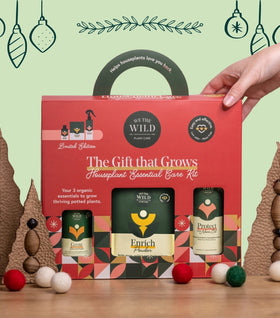 Houseplant Essential Care Kit Gift Set