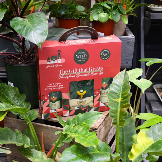 Houseplant Essential Care Kit Gift Set