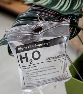 Houseplant Life Support Watering Device
