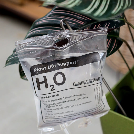 Houseplant Life Support Watering Device