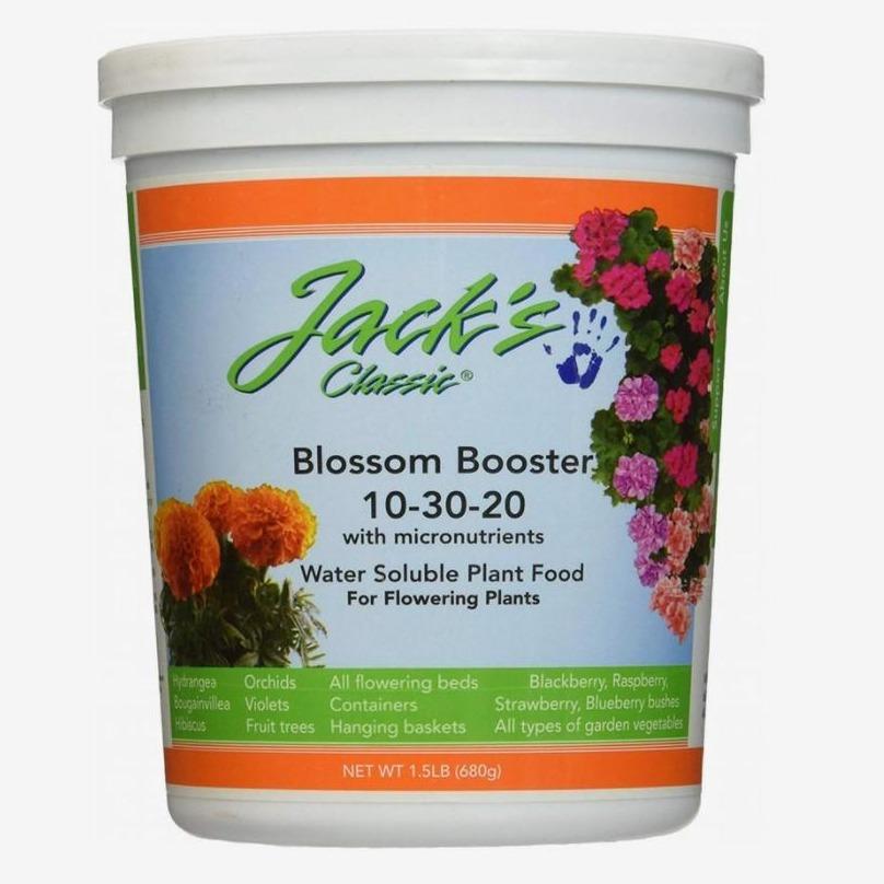 jack's classic 20-20-20 snake plant Jack's Classic Blossom Booster 10-30-20, 8 oz