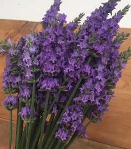 Lavender Sensational