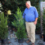 Woodie (6' in height) Standing next to our 3-4 foot Leyland Cypress Tree