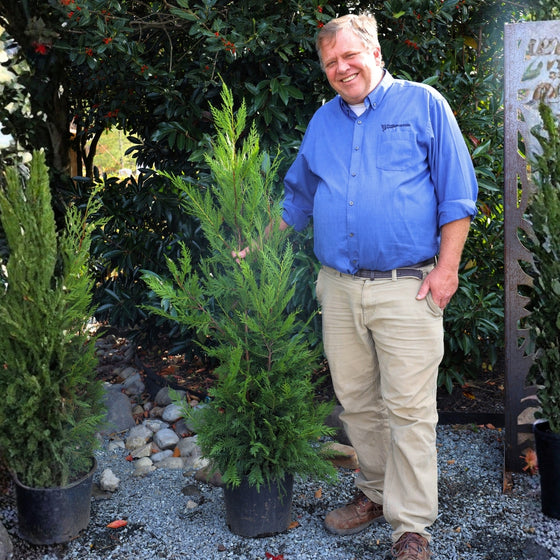 Woodie (6' in height) Standing next to our 3-4 foot Leyland Cypress Tree
