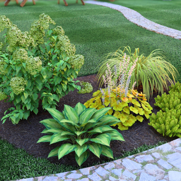 大型本 Ornamental Plants in the Landscape 5 Key Places to Install Plants on a Commercial Landscape in