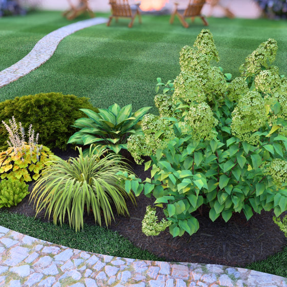 Medium Accent Garden