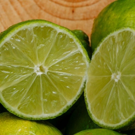 persian lime tree sold online produces the limes most commonly found in grocery stores