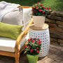 Petite Knock Out Roses make beautiful container plantings for outdoor patios