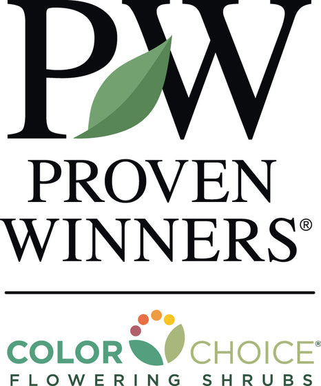 Proven Winners Color Choice Flowering Shrubs