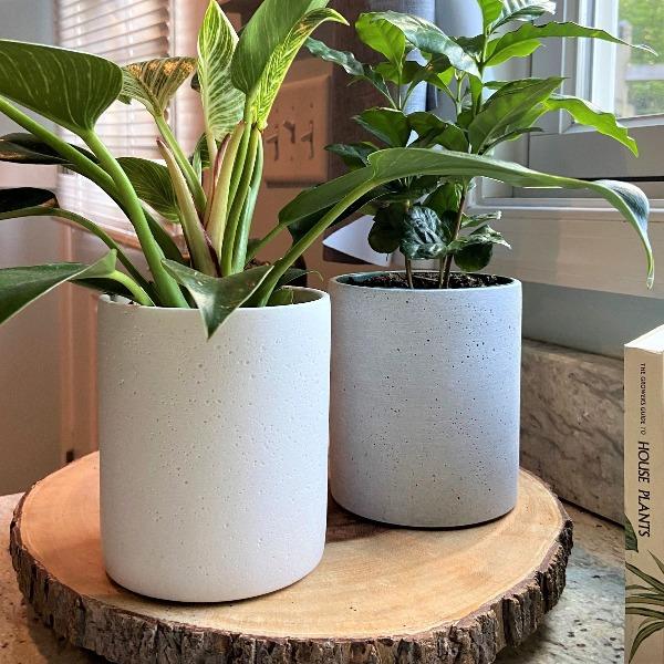 Buy 'Pompei' Cylinder Ceramic Vase Online | Garden Goods Direct