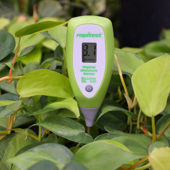 digital moisture meter for houseplants in use