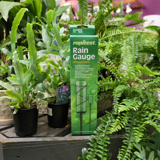 Rapitest Rain Gauge