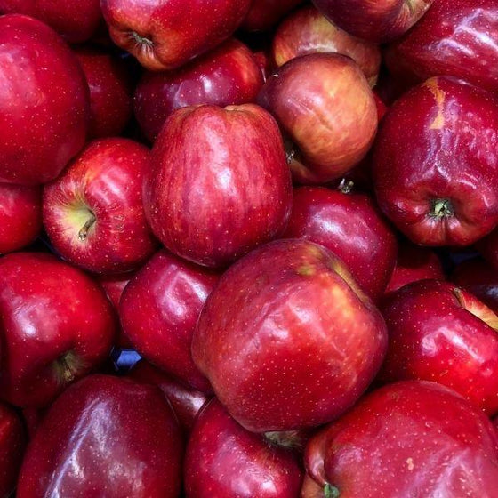 Red Delicious Red Delicious Apple