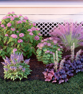 Small Pollinator Garden