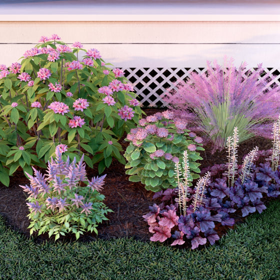 Layered pollinator garden design showing tall back plants, mid-height perennials, and low front border plants
