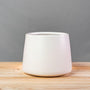modern 5 inch vase with white matte finish and tapered wall