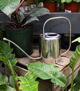 Stainless Steel Watering Can