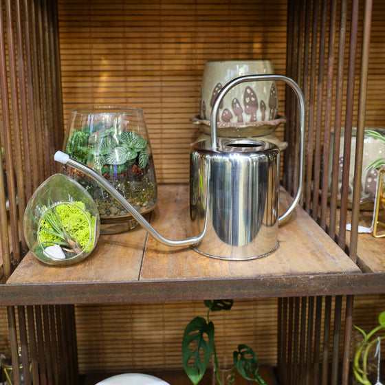 stainless steel watering can modern industrial style on display with whimsical plant accessories