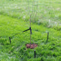Tree Staking kit by DeWitt on a small tree