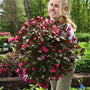 girl holding 3 gallon pot of wine and roses weigela