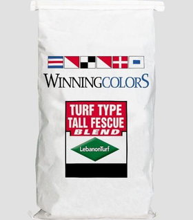 Winning Colors Fescue Blend Grass Seed