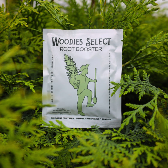 Woodie's select Root Booster: the best in plant nutrition. For time of planting or whenever transplanting. Pictured with vibrant evergreen foliage of american pillar arborvitae